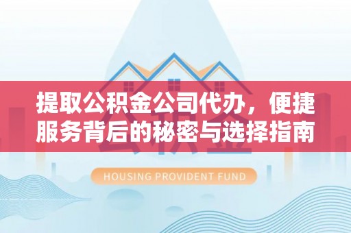 武宁提取公积金公司代办，便捷服务背后的秘密与选择指南