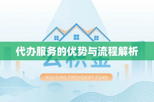 武宁代办服务的优势与流程解析