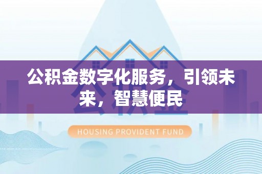 武宁公积金数字化服务，引领未来，智慧便民