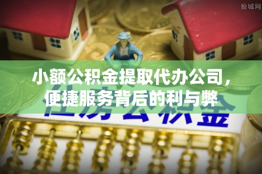 武宁小额公积金提取代办公司，便捷服务背后的利与弊