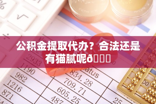 武宁公积金提取代办？合法还是有猫腻呢😏