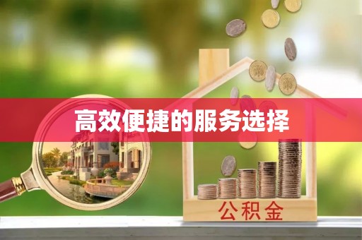 武宁高效便捷的服务选择