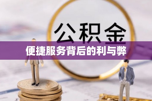 武宁便捷服务背后的利与弊
