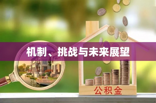 武宁机制、挑战与未来展望
